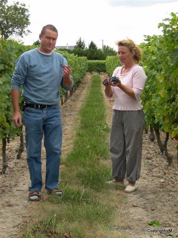 JM AMIRAULT Vigneron AOC BOURGUEIL VIN du VAL de LOIRE