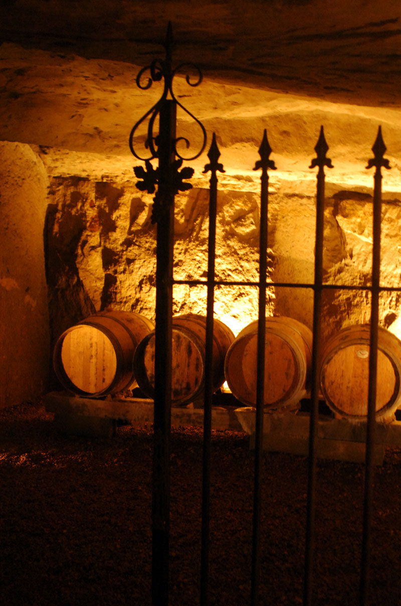 VINS de BOURGUEIL - LA FONTAINE AUX FOUGERES